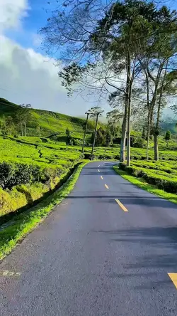 5 clips road video