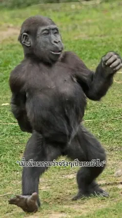 เป็นไบโพล่าร์5555