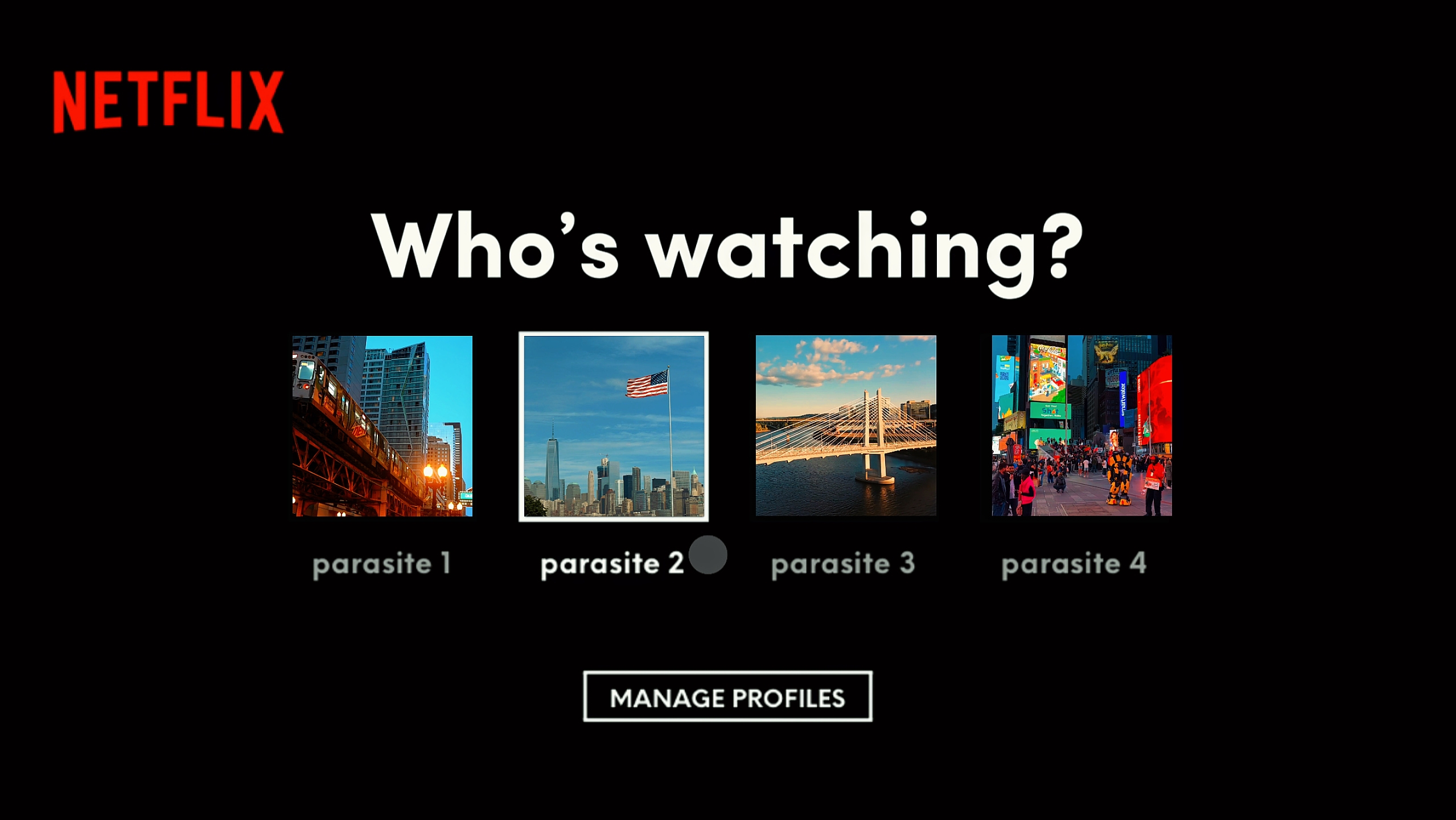 cinematic neflix 