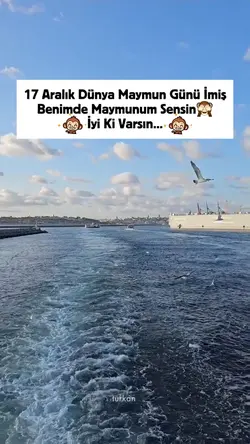 Dünya maymun günü