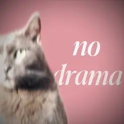 No Drama Trend 🎭