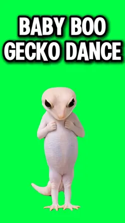 BABY BOO GECKO DANCE