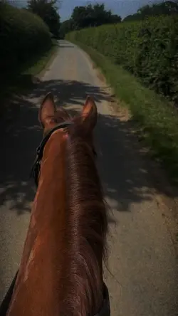 Cavalo