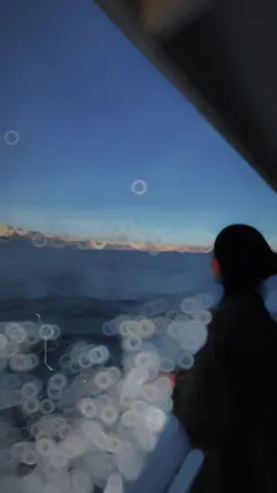 Sound + Slowmotion 🔥