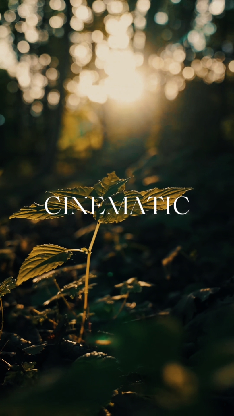 CINÉMATIQUE