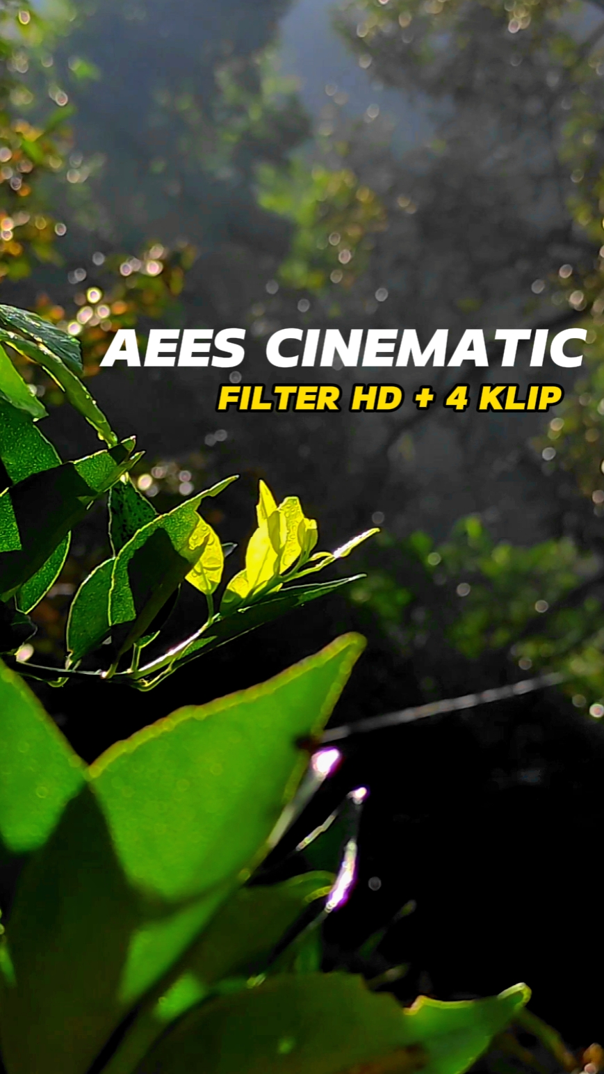 Aees Cinemática HD 
