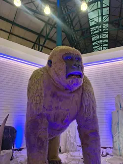 Festival no shopping