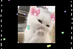 cute combo attack!!!