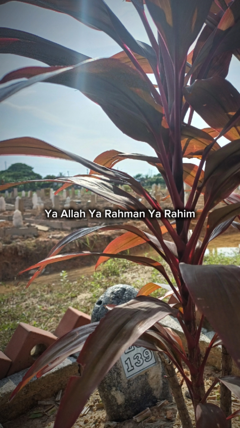 Doa untuk ayah