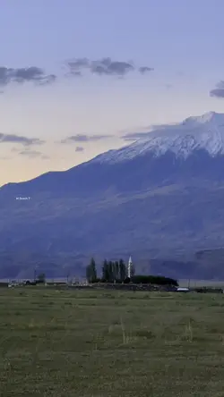 Yaralı Ceylan
