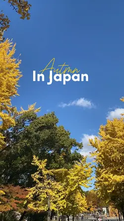 Autmn in Japan 🍃✨