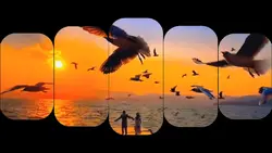 travel