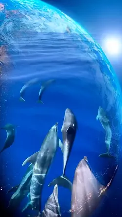 PLANET EARTH