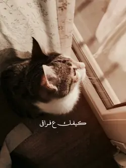 Arabic song