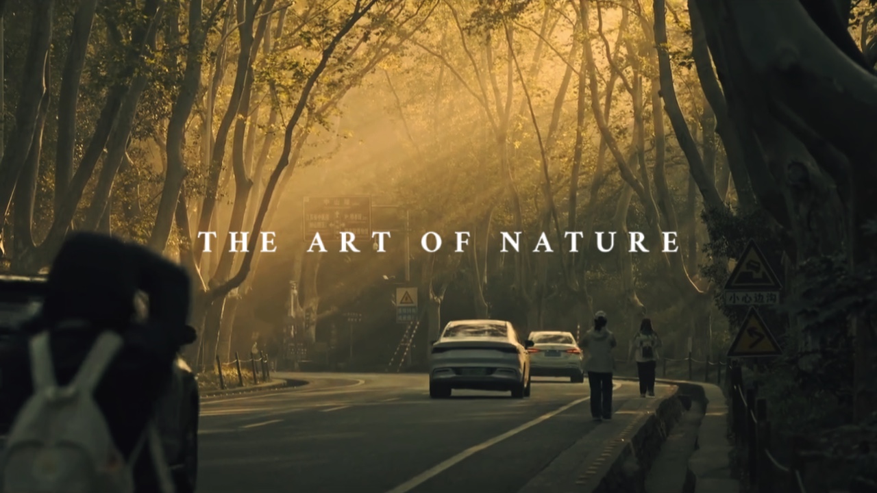the art of