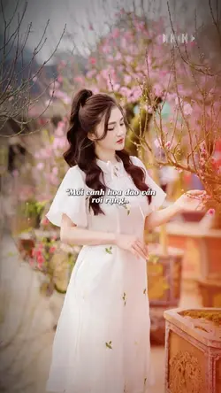 Mỗi cánh hoa đào vẫn