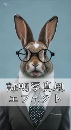 証明写真風エフェクト