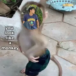 Go back to the zoo