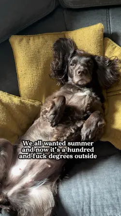 Too hot 🥵