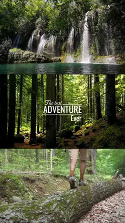 Nature Therapy