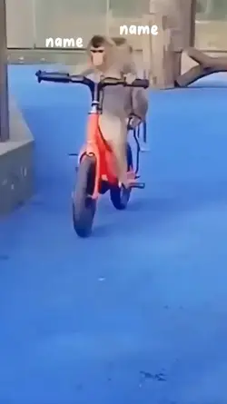 VID LUCU BARENG TMAN