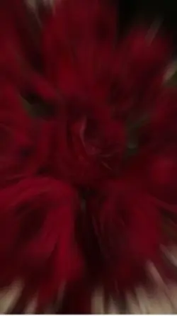 Roses are red ♥️ـ