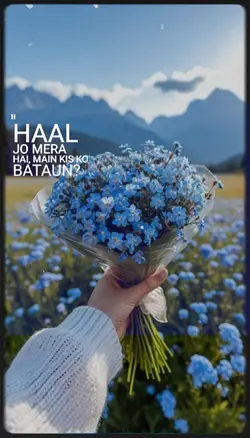 HaaL Jo MerA