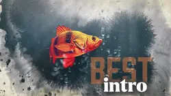 Fish Best Intro