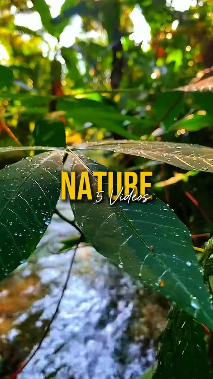 Nature 5 Videos