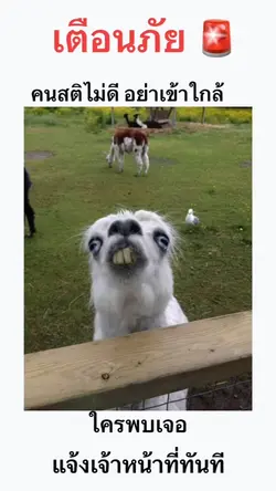 เตือนภัย !