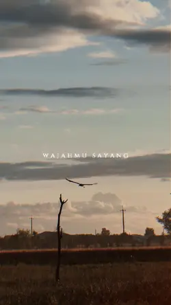 Untukmu