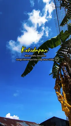 storihd/4k kehidupan