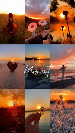 Moment