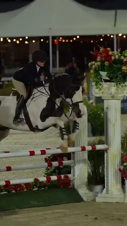 shake it to the max!