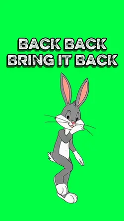 BRING IT BACK BUNNY
