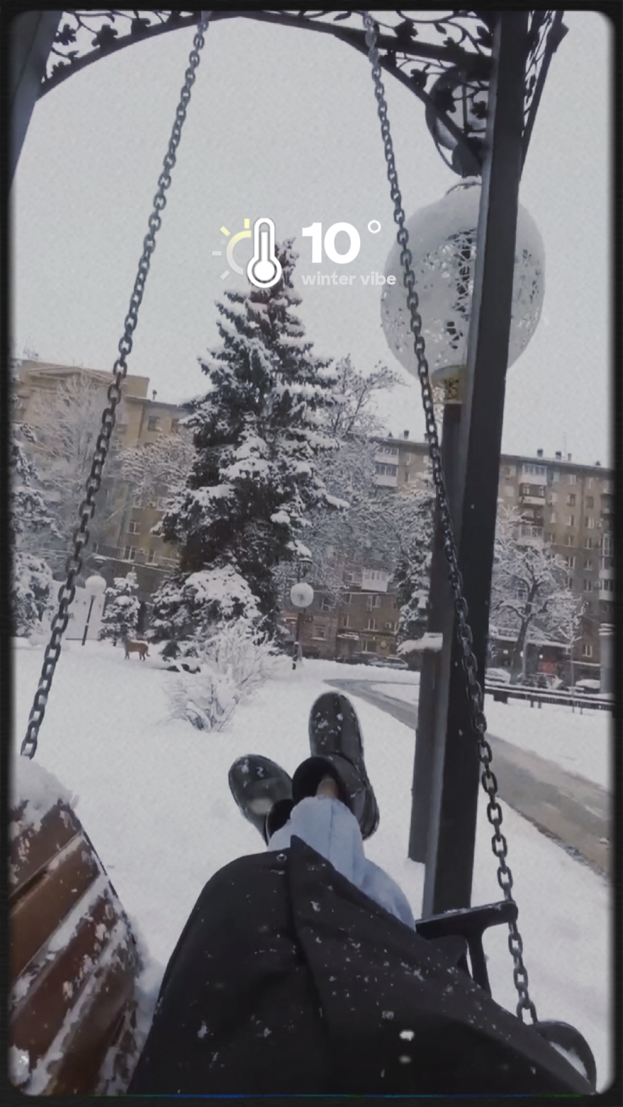 Winter vibe 