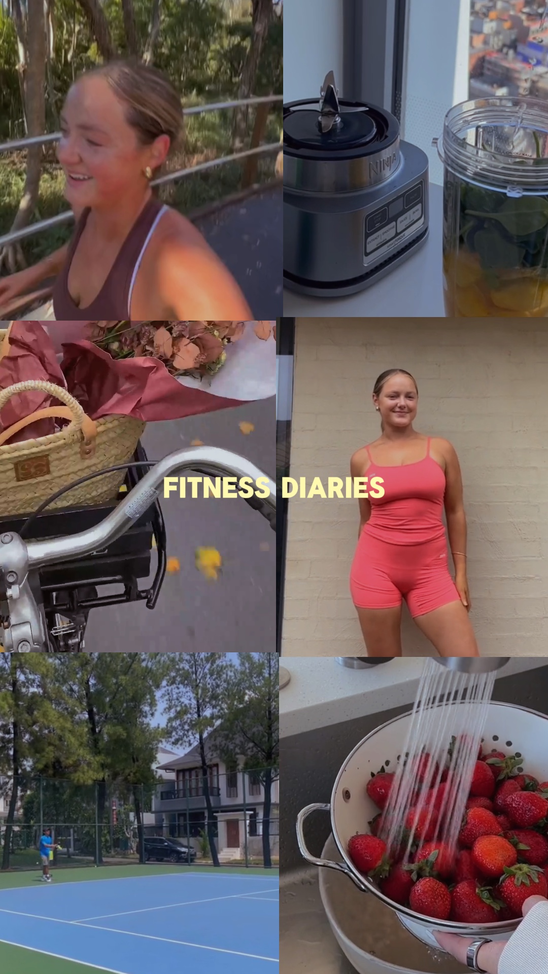 Diários de fitness 