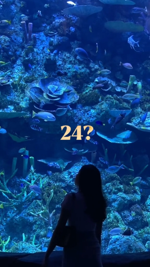 ¿Recuerdas 24? 2024 