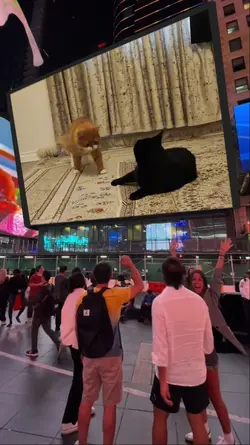 New York Screen