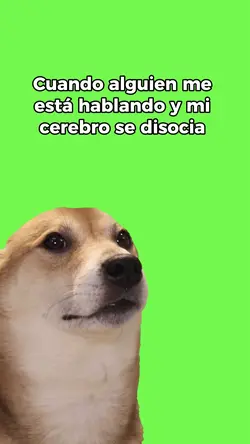 Perrito bailando 🤎