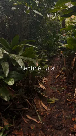 Sentir é cura 