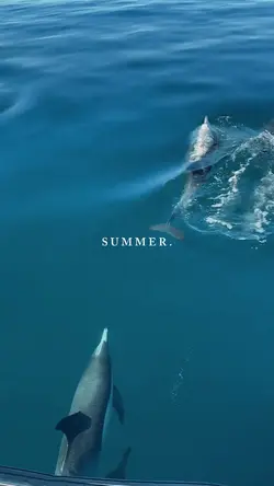 SUMMER
