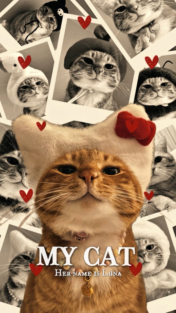 My cat 🐱 meow