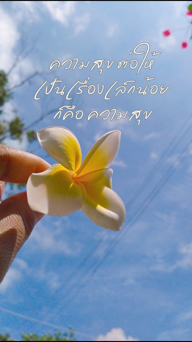 ความสุข