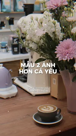 HƠN CẢ YÊU