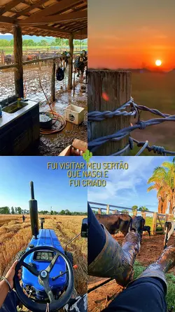fui visitar o sertão