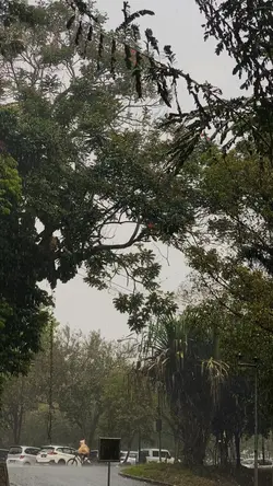 Rainy day