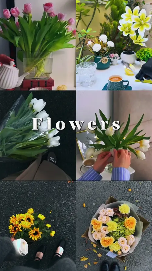 FLORES
