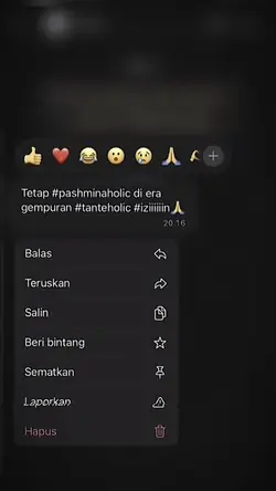 Tetep PashminaHollic