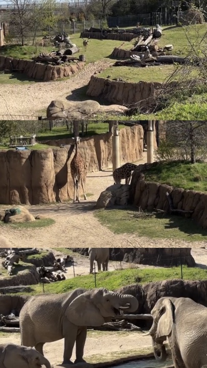 Zoo